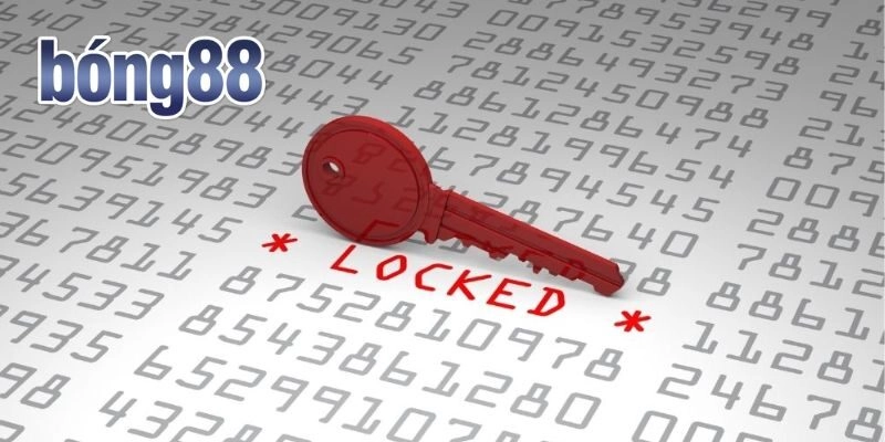 Nguyên nhân chủ yếu