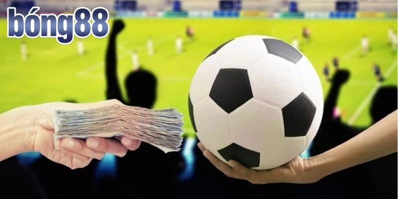 Những kèo cược hấp dẫn