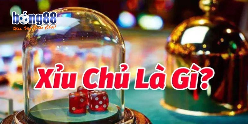 Sơ lược về Xỉu chủ