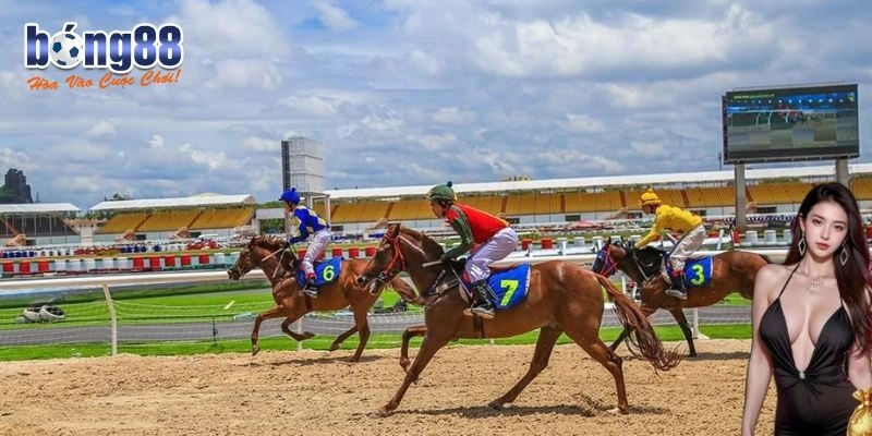 Tổng quan kèo cá cược đua ngựa cực hấp dẫn